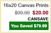 16x20 Canvas Print Checkout Summary