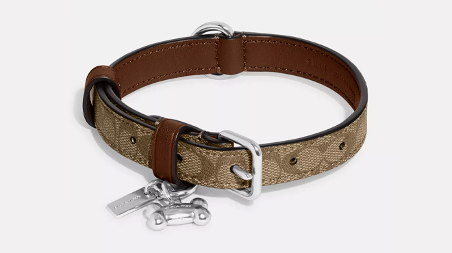 2 Coach Outlet Boxed Small Pet Collar In Signature Canvas