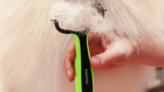 2 in 1 Professional Undercoat Rake and Pet Brush