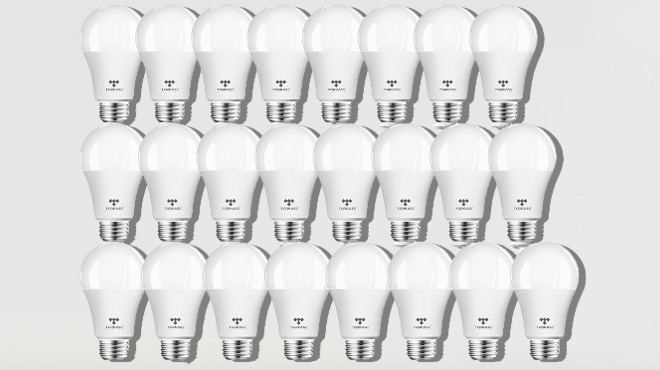 24 Light Bulbs