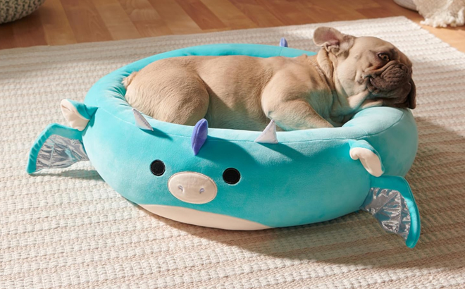 A Dog Laying in the Squishmallows 20 Inch Tatiana The Dragon Pet Bed