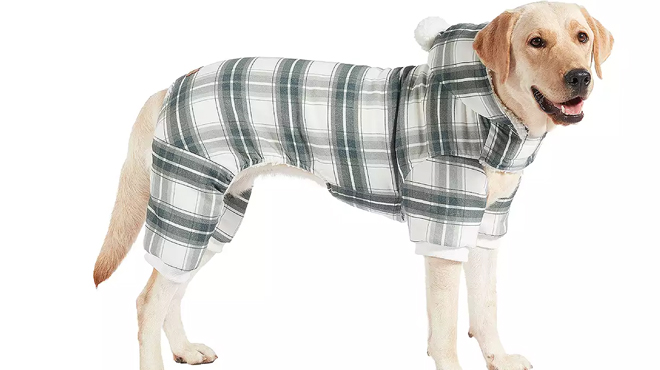 A Dog Wearing a Koolaburra by UGG Lined Pet Pajama