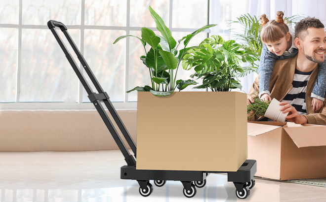 A Folding Hand Truck with a Box on Top