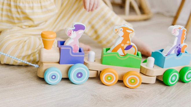 A Girl Playing with Melissa Doug First Play Wooden Rocking Farm Animals Pull Train