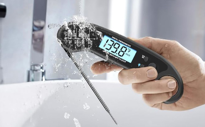 A Person Holding Digital Meat Thermometer