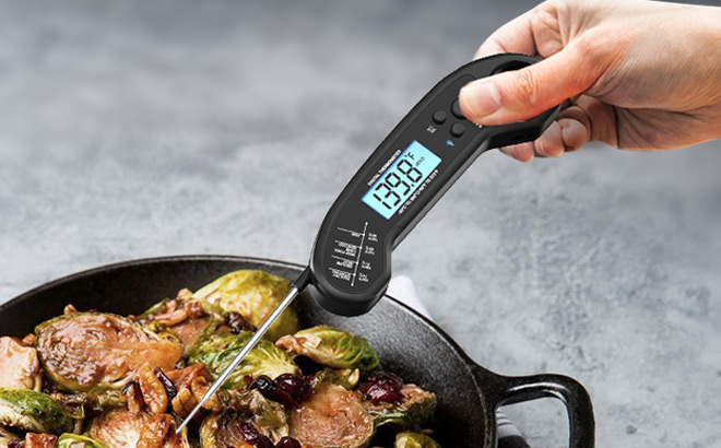 A Person Holding Instant Read Meat Thermometer