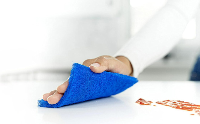 A Person Holding Scotch Brite Scouring Pad