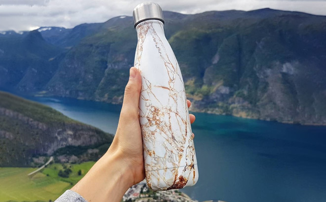 A Person Holding Swell Stainless Steel Water Bottle