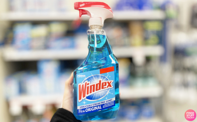 A Person Holding Windex Glass and Window Cleaner Spray Bottle