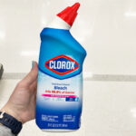 A Person Holding a Clorox Toilet Bowl Cleaner