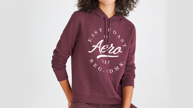 A Person Wearing a Aero Circle Pullover Hoodie