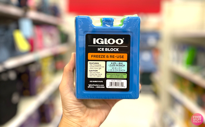 A Woman Holding Igloo Small Reusable Ice Block