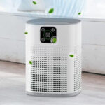 Air Purifiers for Bedroom