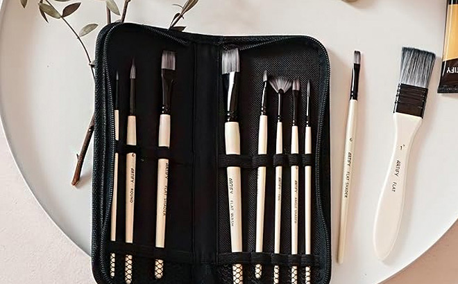 Artify 10 Piece Paint Brush Set with Case