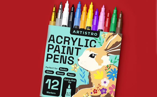 Artistro 12 Count Acrylic Pens