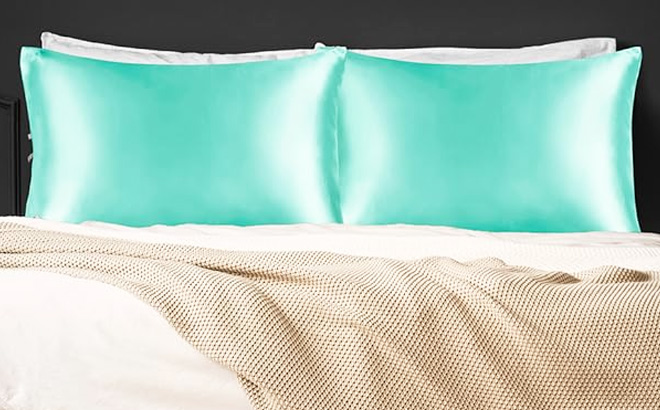 BEDELITE Satin Pillowcase 2 Pack