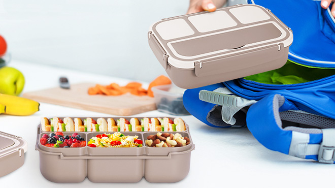 Bento Box Adult Lunch Box