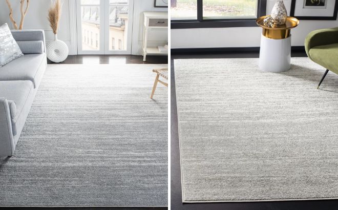 Bethlyn Light Gray Area Rug