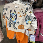 Bluey and Bingo Halloween Top and Bottom Set