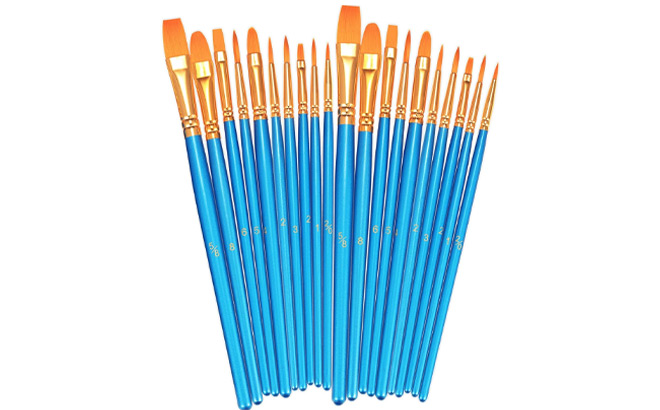 Bosobo 20 Piece Paint Brushes Set