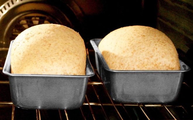 Bread Loaves in an Oven