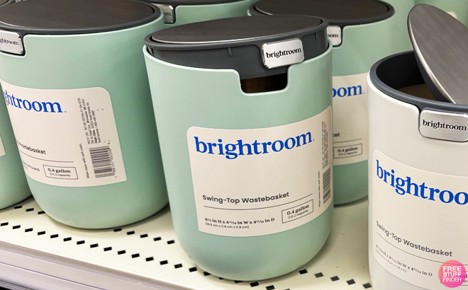 Brightroom Small Desktop Wastebasket in Daydream Color