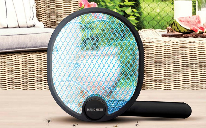 Bug Swatter and Zapping Lamp