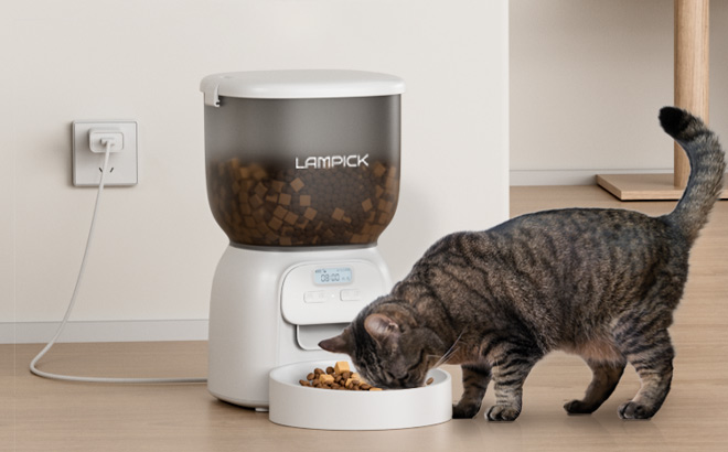 Cat is Eating From Automatic Cat Feeder