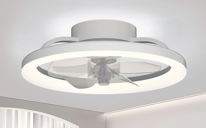 Ceiling Fan with Light