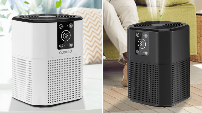 Cobectal True H13 HEPA Air Purifiers