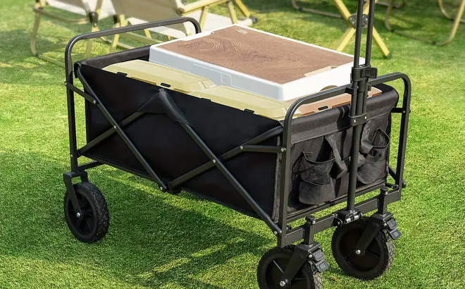 Collapsible Folding Wagon 1