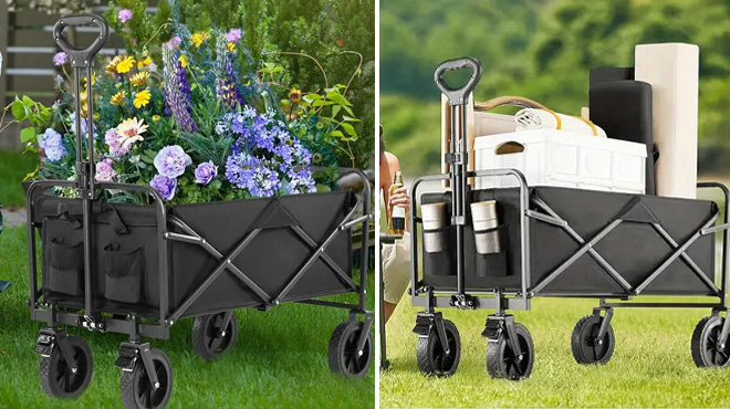 Collapsible Folding Wagon in Black Color