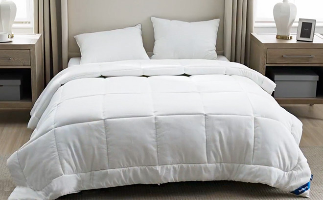 Comforter Duvet Insert 1