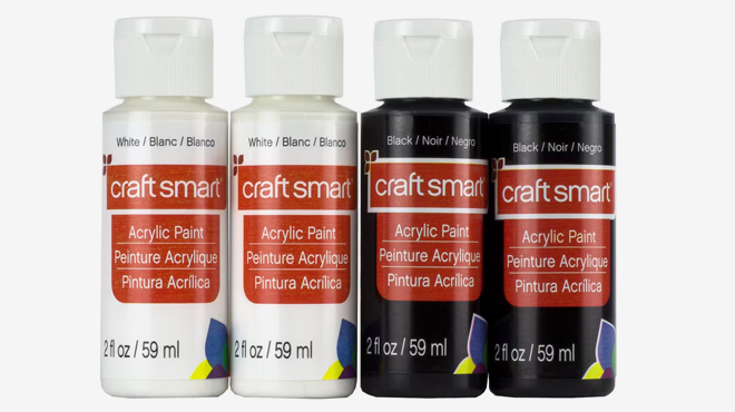 Craft Smart Black and White Acrylic Paint Value Set