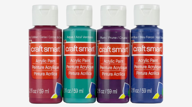 Craft Smart Dark Acrylic Paint Value Set