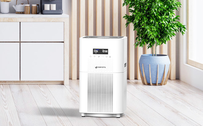 Dayette HEPA Air Purifier 1