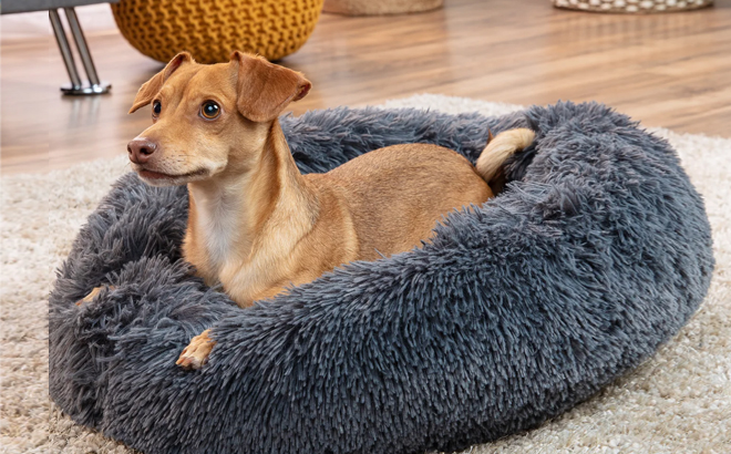 Dog in a Fur Pet Bed