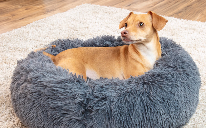 Dog in a Grey Fur Pet Bed