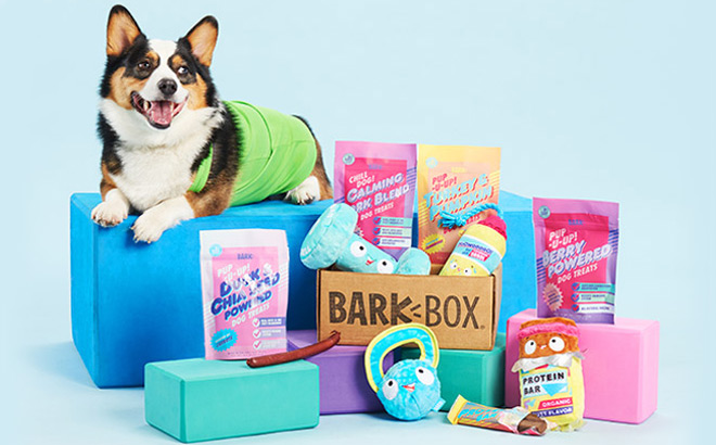 Dog next to BarkBox Toys and Treats