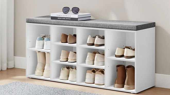 Ebern Designs 10 Pair Shoe Storage Bench