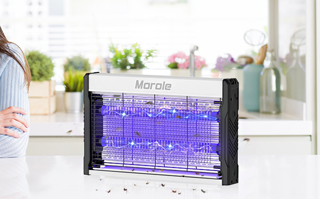 Electric Bug Zapper