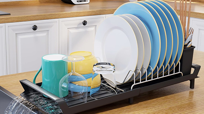 Expandable Dish Rack with Plates and Mugs