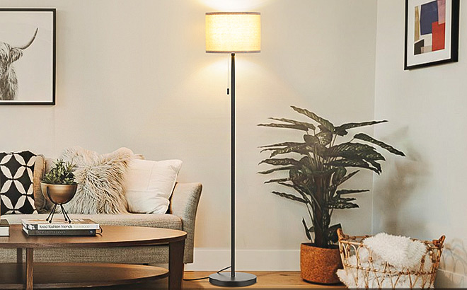 FOLKSMATE Floor Lamp