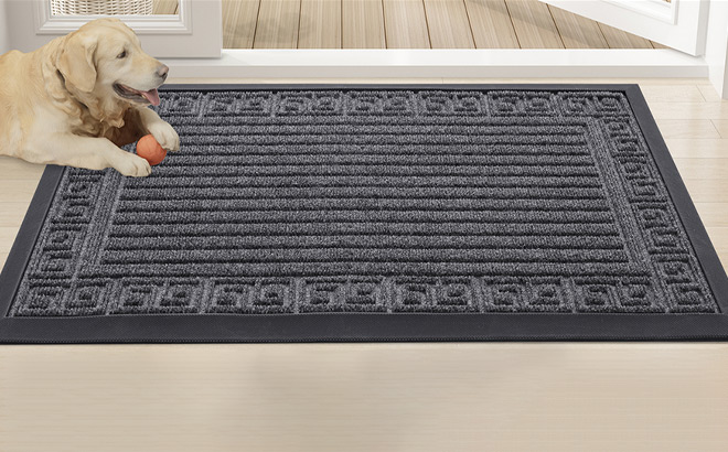 Finchitty Front Door Mat Outdoor Entrance on the Floor