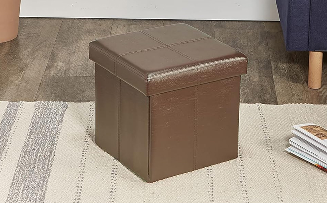 Fresh Home Elements Storage Ottoman Cube