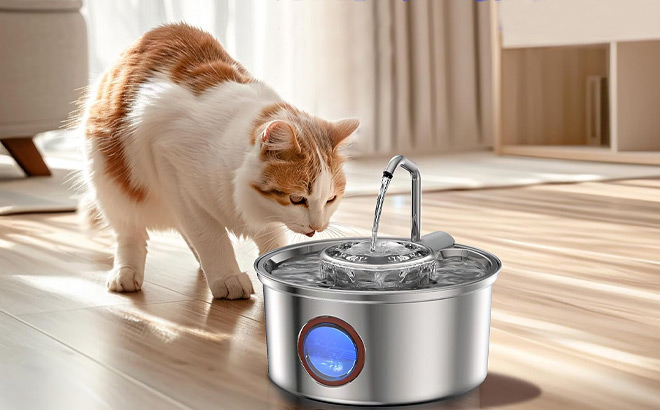 Hicuper Cat Water Fountain