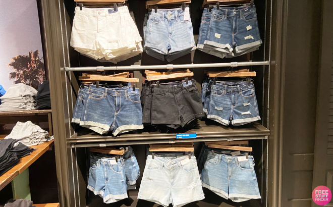 Hollister Womens Shorts Overiew