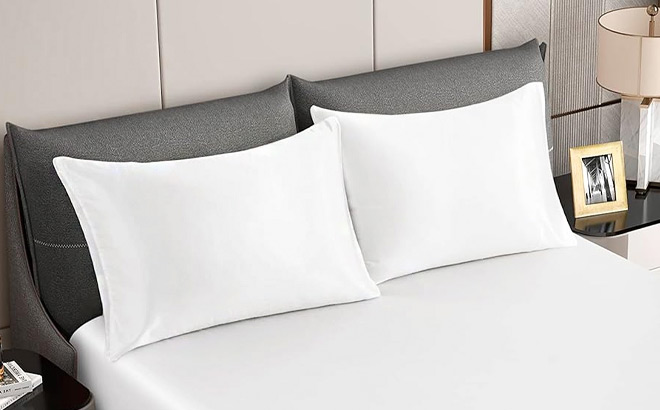 HommxJF King Satin Pillowcase 2 Pack