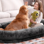 Human Dog Bed for Adult People 7222×4822×1022 Giant Dog Bed for Adult Pet with Blanket and Storage Pocket