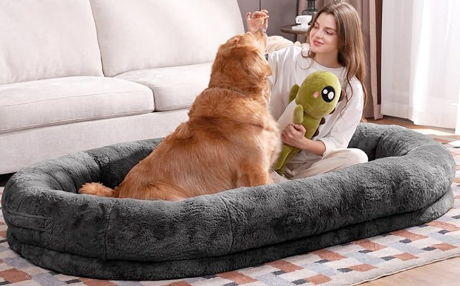 Human Dog Bed for Adult People 7222×4822×1022 Giant Dog Bed for Adult Pet with Blanket and Storage Pocket